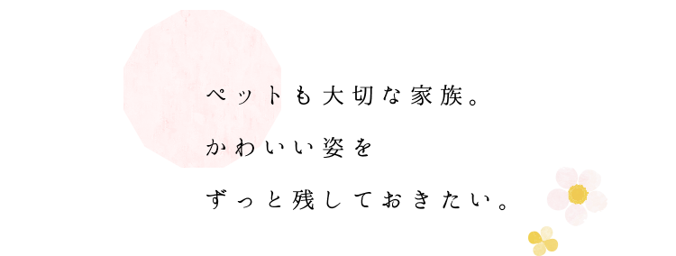 ペットも大切な家族。 かわいい姿を ずっと残しておきたい。